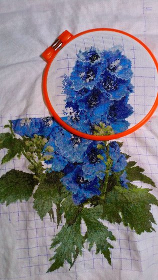 Этап процесса «Дельфиниум»