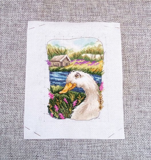 Этап процесса «Гусик»