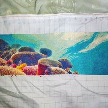 Процесс «Риф»