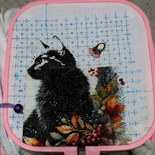 Процесс «Лунный кот»