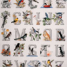 Процесс «Алфавит с птичками»