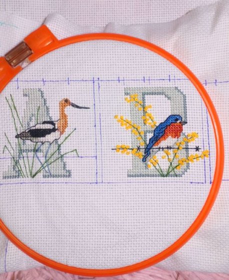 Этап процесса «Алфавит с птичками»