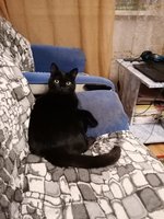 Масленникова