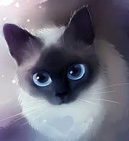 __n_a_s_t_i_a_g__15_05__