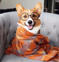 Анастасия1919