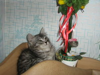 КсюшаПермь