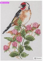 Dubrovskaya_Shisterova85